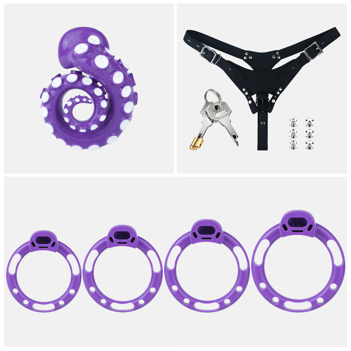 Violettes Gurtset mit Befestigungen