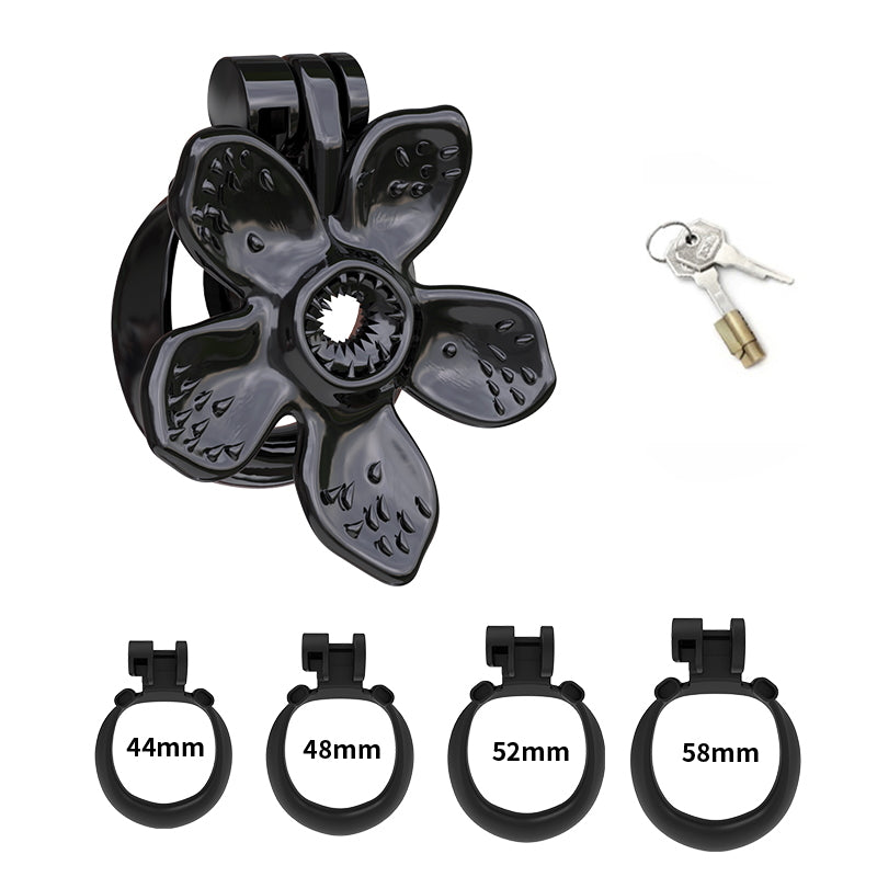 Schwarzes Set mit vier Ringen