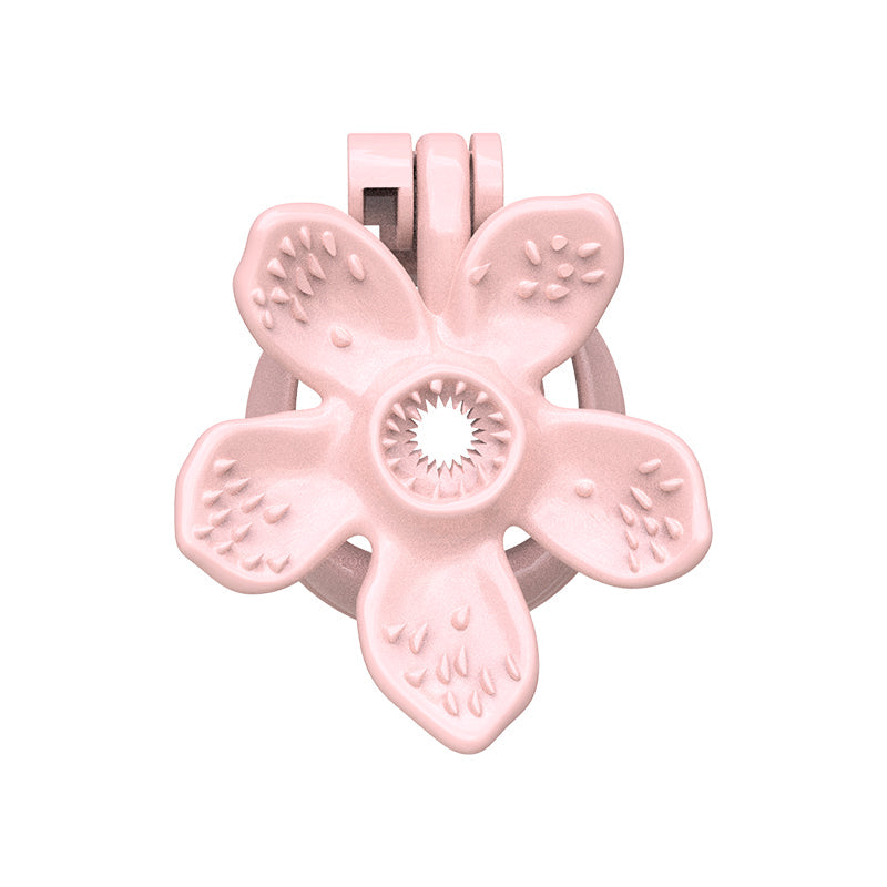 Pinke Blüte von vorne