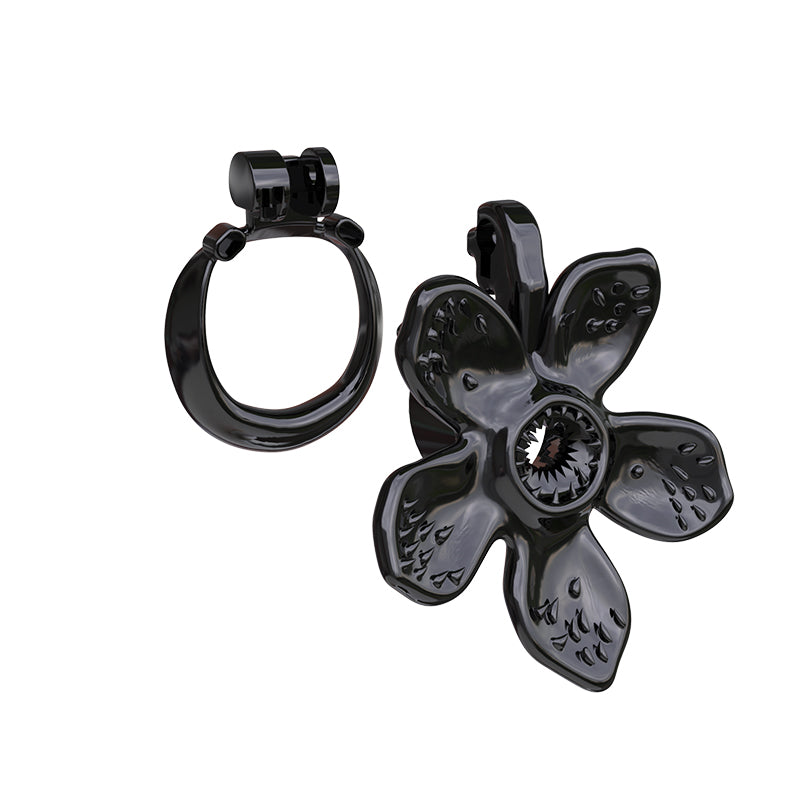 Schwarze Front und Ring getrennt