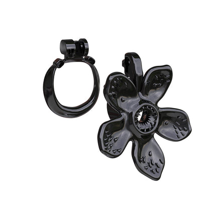 Schwarze Front und Ring getrennt