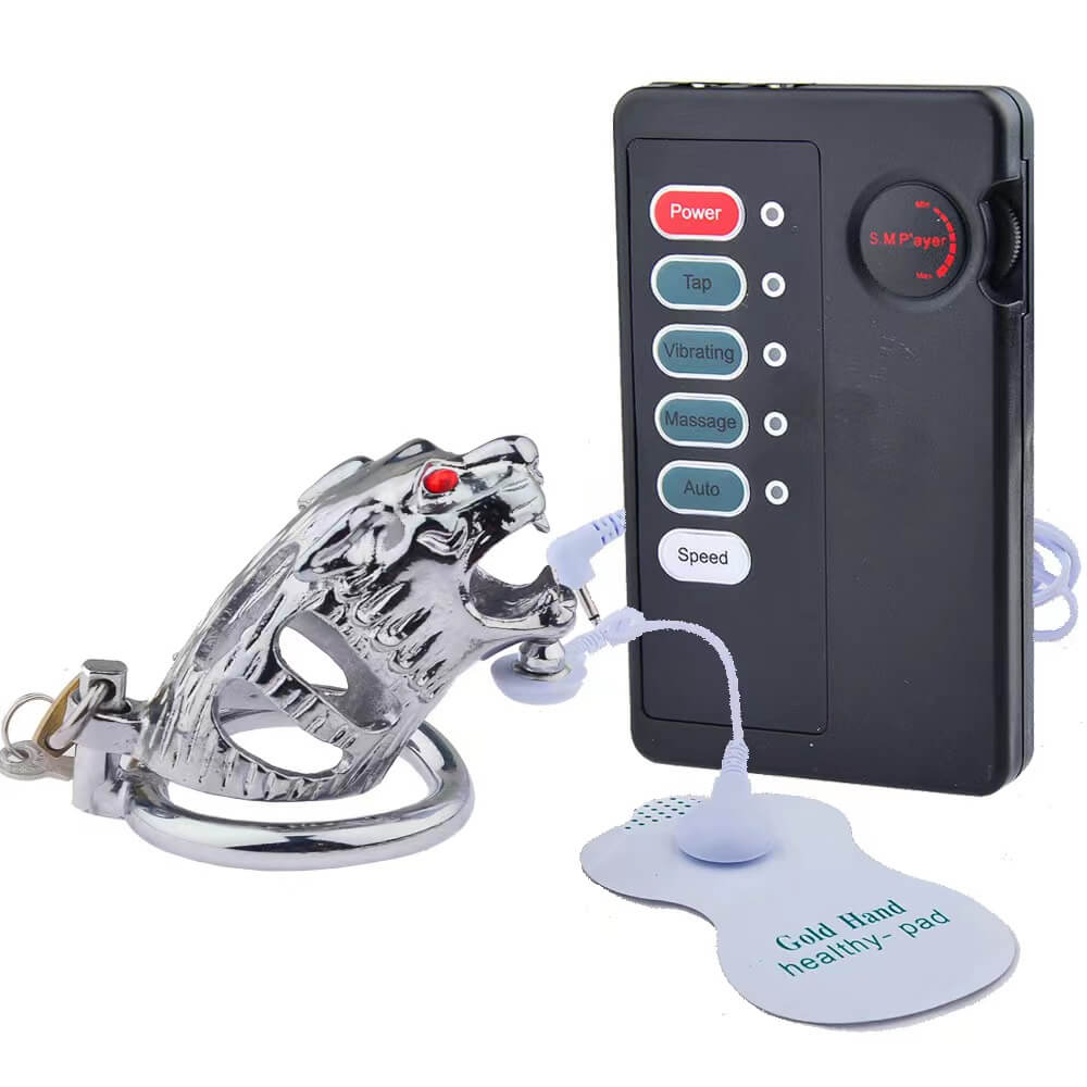 Steuergerät mit Elektrodenpad und Beispielkäfig
