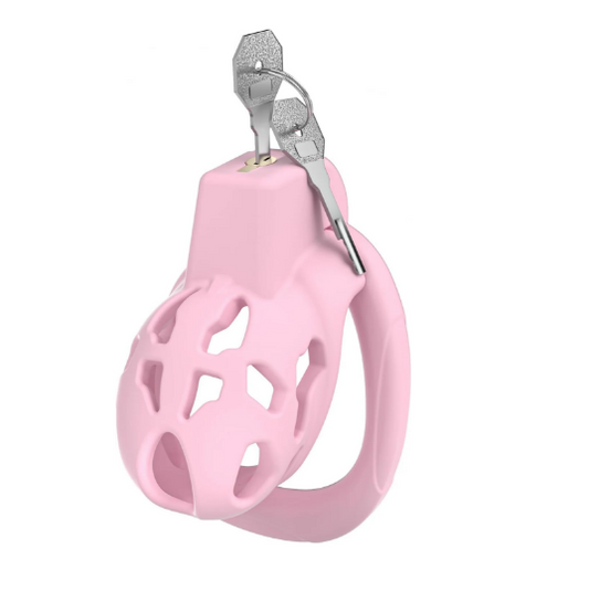 Kurzer pinker Käfig mit Schlüsseln